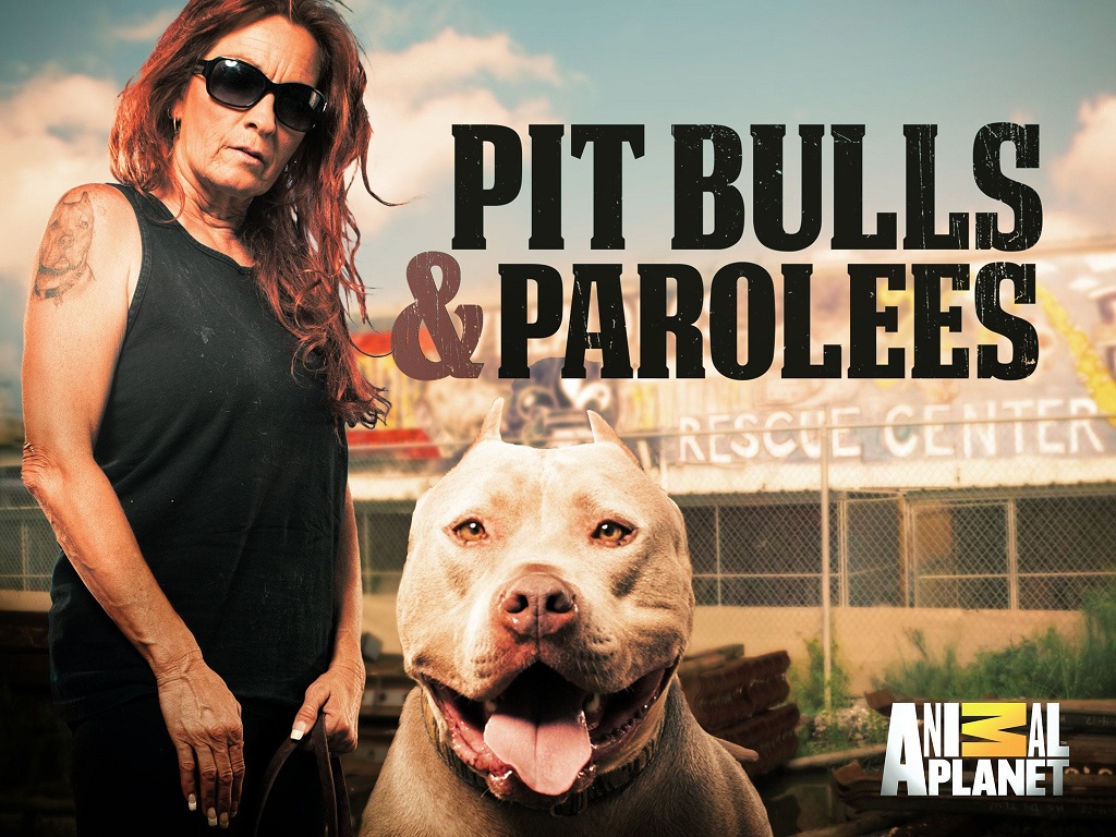 The star of the hugely popular Animal Planet show Pit Bulls & Parolees, Tia Torres, motivated  Darius during his time at Villalobos Rescue Center