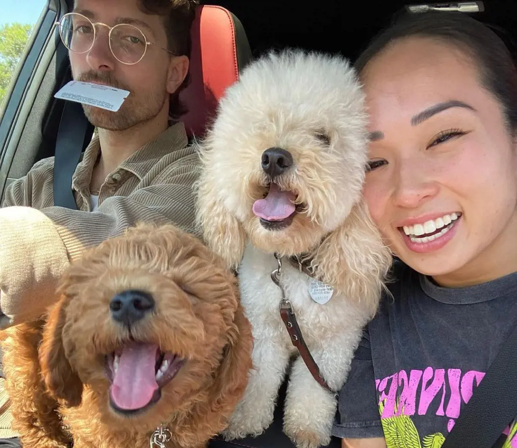 Koko Iwasaki With Her Soul Mate Kiki Nyemchek And Two Puppies Hash and Shuu On A Family Ride
