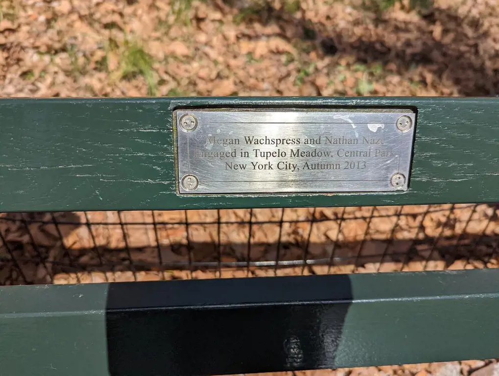 Megan Wachspress and Nathan's engagement plaque bench in Central Park