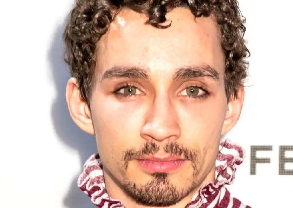The Transformation Of Robert Sheehan From Childhood To The Umbrella Academy