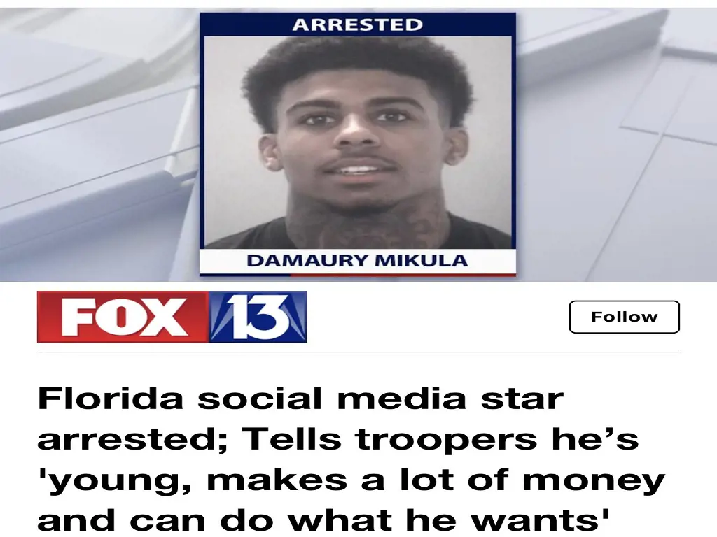 Damaury Mikula, a social media celebrity who claims to earn $400,000–$500,000 annually, was detained by police.