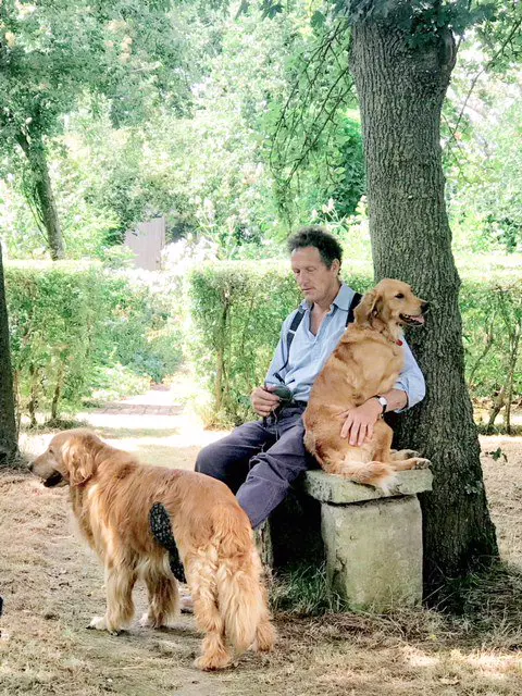 Is Gardeners World Monty Don Leaving Because of An Illness? What We Know About His Abrupt Departure News
