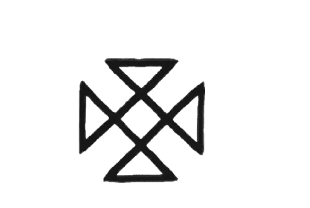Suomen Sisu symbol Robert Crimo used everywhere.