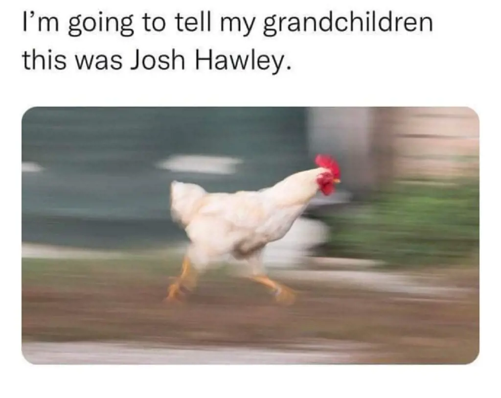 A meme on Twitter about Josh Hawley running