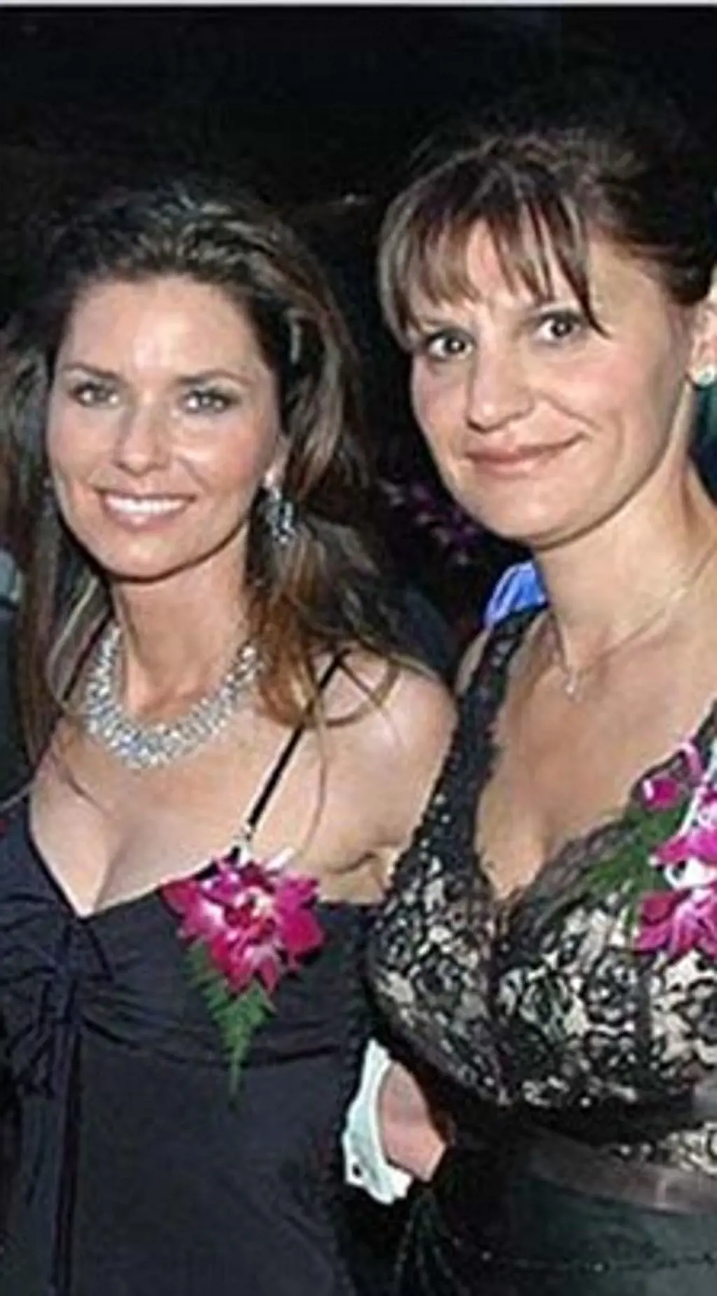 Marie Anne served as a Swiss assistant to Shania Twain 