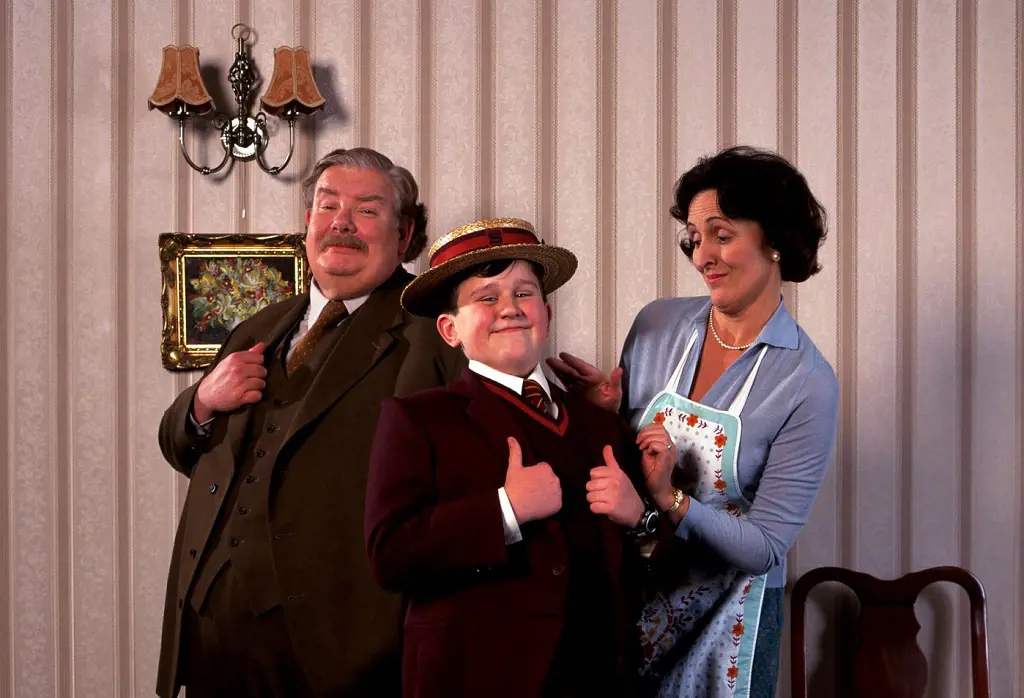 Dursley family are the only relatives of the Harry who does not like wizards and witches