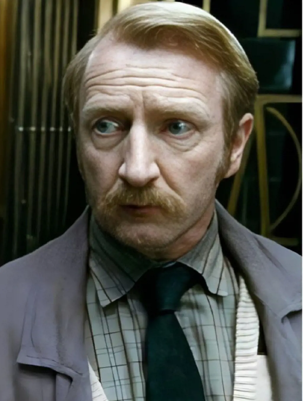 Reginald Cattermole's role has portrayed by Steffan Rhodri in Deathly Hallows. 