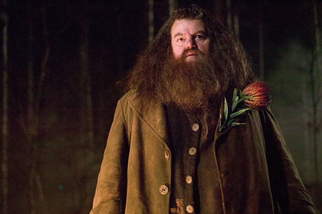 Rubeus Hagrid is a half-giant who is the Keeper of Keys and Grounds at Hogwarts School of Witchcraft and Wizardry. 