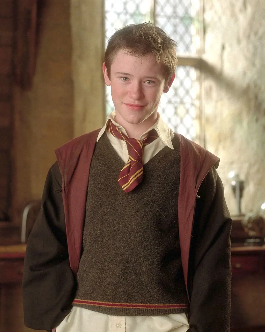 Seamus is a Gryffindor student and Dumbledore Army member