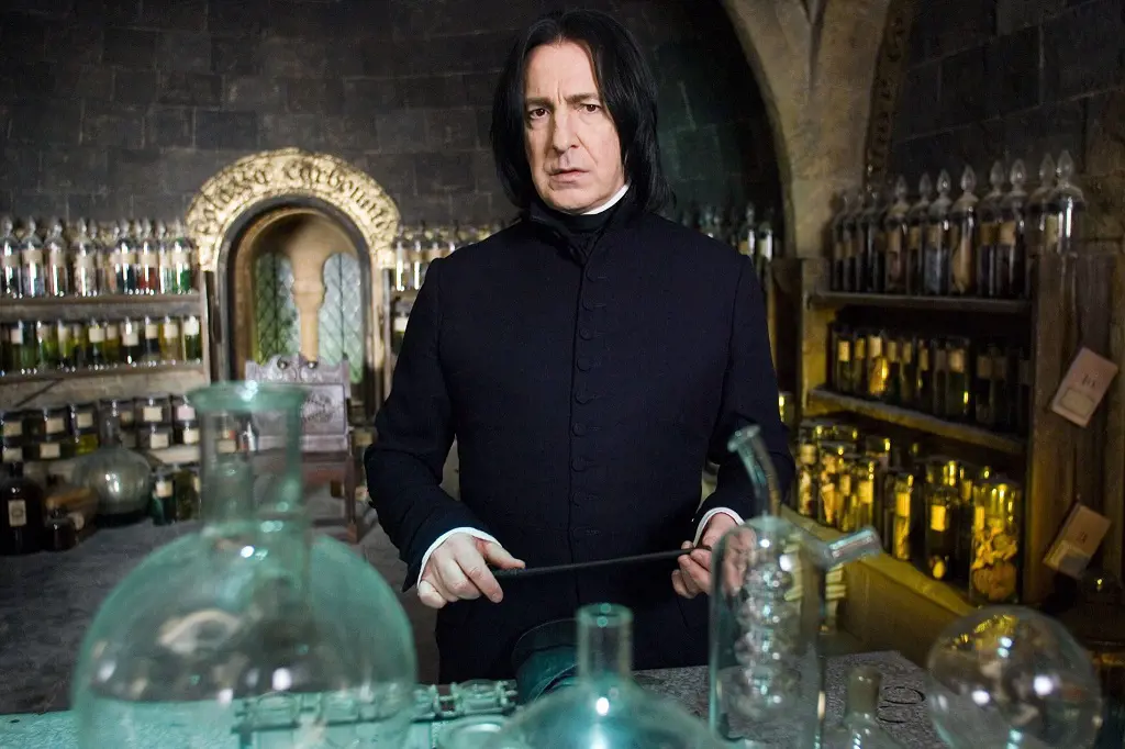 Snape was the double agent as a member of the Order of the Phoenix and 'Death Eaters.'