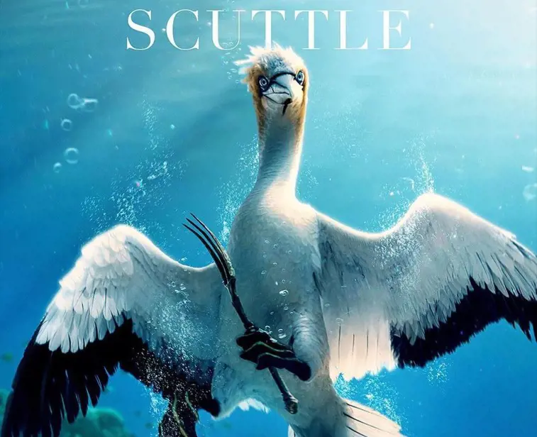In the original version of the movie The Little Mermaid, Scuttle was a Seagull bird, and in the remake version, the character is changed to Gannet bird
