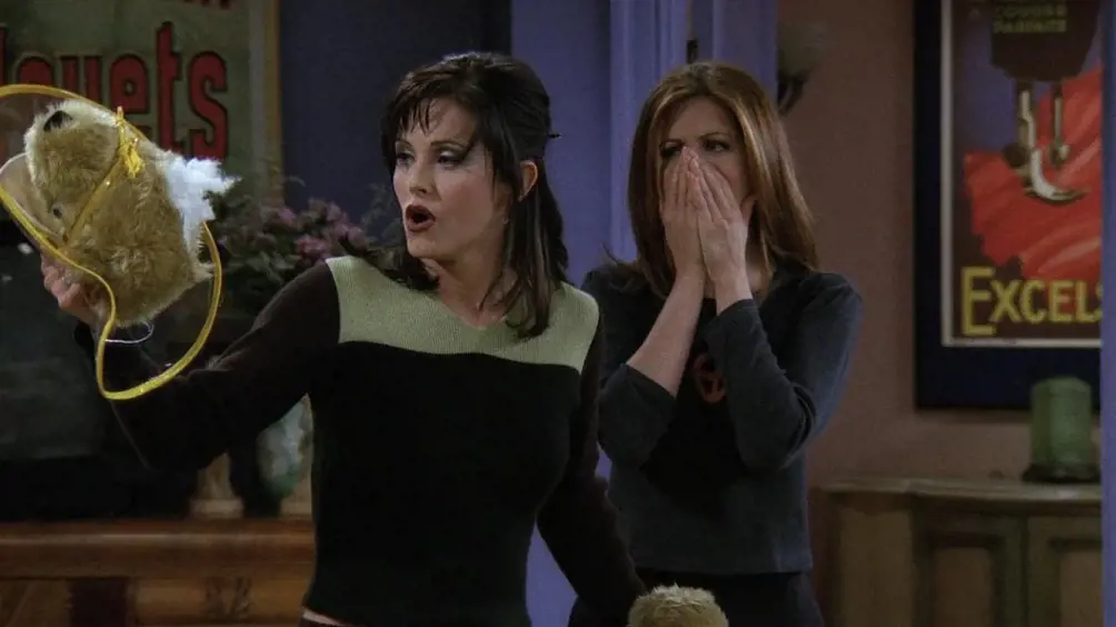 Monica and Rachel are in shock