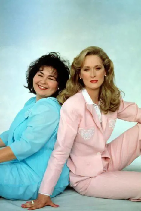 Actress Meryl Streep(right) & Roseanne Barr were the lead cast in the 1989 film She-Devil